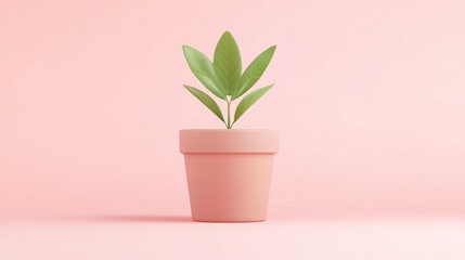 Obraz premium Indoor plant care stylish potted greenery home decor minimalist aesthetic bright environment modern viewpoint