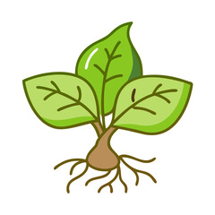 Sprouting plant illustration with green leaves and roots