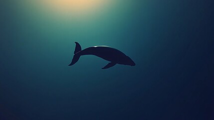 Fototapeta premium Majestic Whale Silhouette Diving in Deep Oceanic Gradient