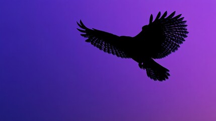 Obraz premium Majestic Owl Silhouette in Flight on Gradient Indigo-Violet Background