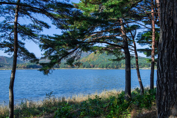 Obraz premium Beautiful lakeside panoramic view with blue sky in the park.