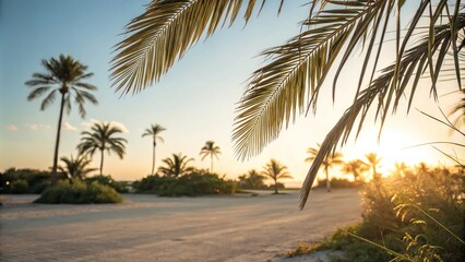 Fototapeta premium Soft golden light filters through delicate palm leaves in a serene summer atmosphere, gentle, filter, ambiance, dreamy