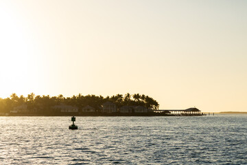 Fototapeta premium A peaceful sunset over the ocean with silhouetted palm trees and a pier extending into the water, bathed in golden light.