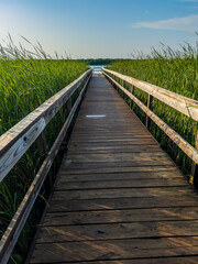 Obraz premium Long Dock at Rice Lake State Park