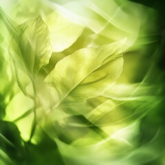 Fototapeta premium Green, abstract leaf composition with blur