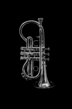Soprano cornet on a black background
