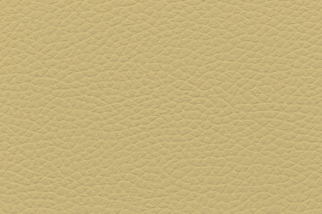 Obraz premium Magnolia Leather Texture for Elegant Upholstery and Design