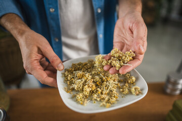 close up of man herbalist hands hold plate with dried herbs