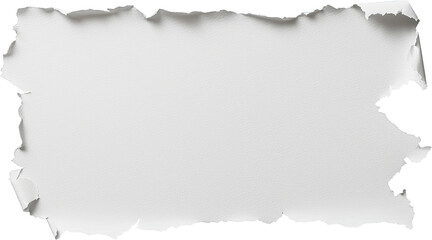 Fototapeta premium Torn paper edges create interesting border