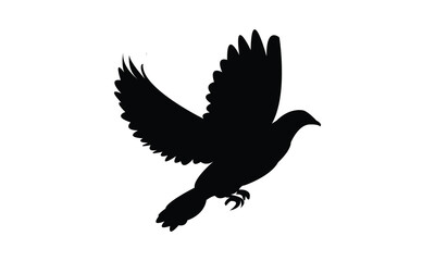 Pigeon Silhouette Design  And Vector Illustration. 