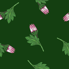 Obraz premium Chrysanthemum Flower Seamless Pattern. Hand Drawn Floral Digital Paper on Green Background.