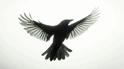 Fototapeta premium Silhouette of a bird in mid-flight, wings outstretched, against a white background.