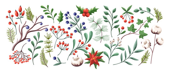 Obraz premium Winter season New year plants, tree branch and twigs with flower and berries decoration set