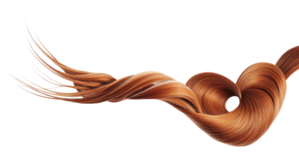 High-Quality PNG of Brown hair knot in shape of heart Isolated on White Background – High Resolution