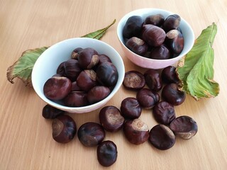 Obraz premium Shiny brown chestnuts on the table