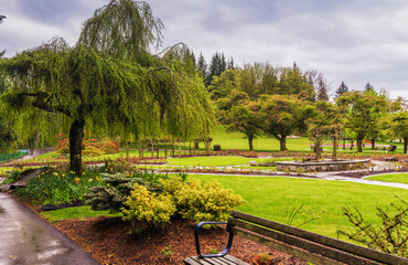 Gardens at Burnaby Mountain Park, BC, after a Spring shower.