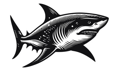 Fototapeta premium Angry shark