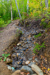 A view up a stream beside the path in the forest above the Corner Brook Stream at Corner Brook in Newfoundland, Canada in the fall