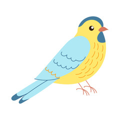 Fototapeta premium A yellow and blue bird is standing on a white background. The bird has a cute and friendly expression