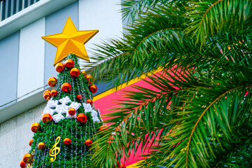 New Year's tree pine with golden star on top with a row of hanging palm branches in tropical exotic countries