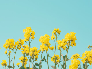 Obraz premium Yellow wildflowers against a blue sky, gently swaying in the breeze. The image has plenty of copy space, ideal for eco-themed designs or backgrounds.