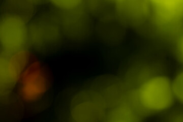 arrière plan png, avec bille de bokeh dans les tons vert, pour ressource graphique