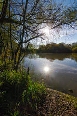 Fishing peg platform on lake in winter with trees sunburst and lens flare
