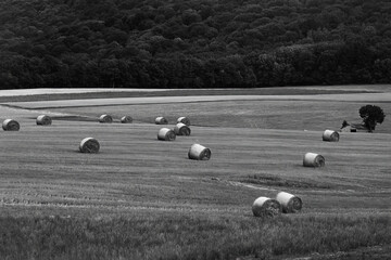 Rural landscape near Montbeliard, France, at summer