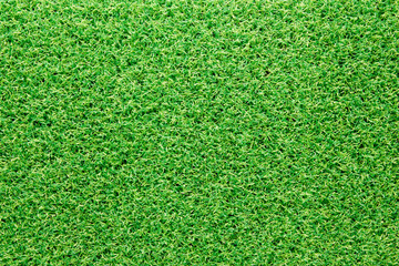 Fototapeta premium green grass background