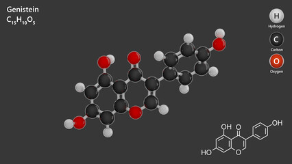 Molecule: Genistein. Antioxidant. Molecular structure. Formula: C15H10O5. Chemical model: Ball and stick. Gray background. 3D illustration.