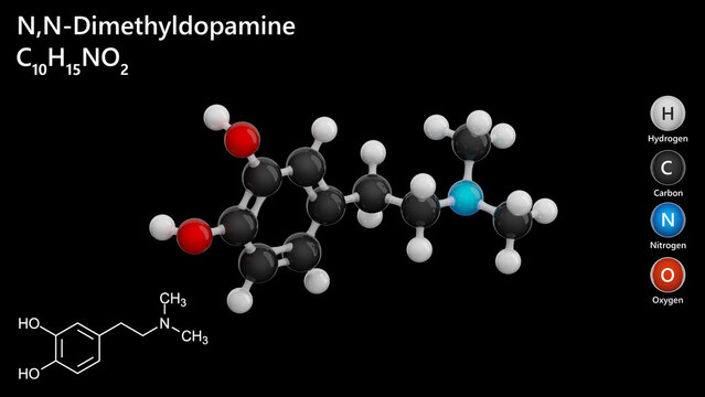 Molecule: N-N-Dimethyldopamine. Molecular structure. Formula: C10H15NO2. Chemical model: Ball and stick. Black background. 3D illustration.