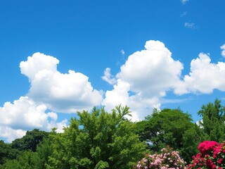 Obraz premium A bright blue sky filled with puffy white clouds against a backdrop of lush green trees and vibrant blooming flowers, greenery, blue sky
