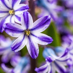an extreme close-up of a vibrant spring hyacinth, highlighting the dense clusters of tiny florets, their individual textures, and the rich hues blending seamlessly together