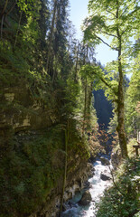 Alpine Gorge with Scenic Hiking Trail Along the Mountain Slope Showcasing Pristine Stream and Lush Valley. Serene Wilderness Landscape Captures Eco-Friendly Living in the Alps.