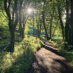 Obraz premium Early summer in the woodlands of Brayford in North Devon, UK. A beautiful shady walk