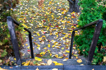 Stairs to garden, the beginning of autumn concept