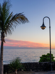 Vacation Scene with Palm Tree and Streetlight Against a Pink Sky - Canary Islands