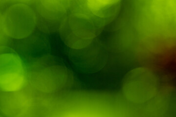 Obraz premium billes de bokeh vert petant pour usage arrière plan, en transparence, ressources graphiques