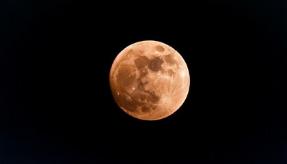 Fototapeta premium lunar eclipse super blood wolf moon on january 20th 2019