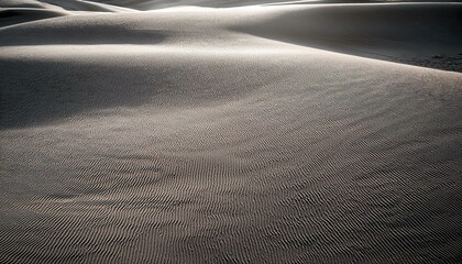 the texture of fine gray sand illuminated by the sun