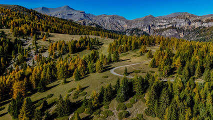 Foret d'automnes col de la Couillole