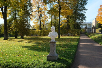 bust 