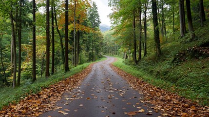 Obraz premium Serene Trail Through Autumn Forest Covered in Leaves