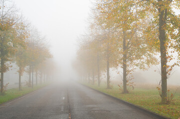 Foggy road, rain, moisture, fog on an autumn morning, low visibility, slippery street, overcast...