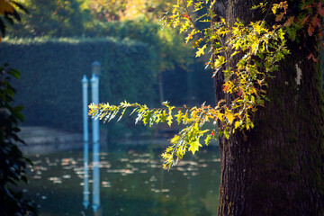 Italia, Toscana, Lucca, Marlia la villa Reale e il parco.