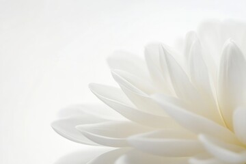 A single white flower sits alone in a decorative vase, perfect for adding a touch of elegance to any space