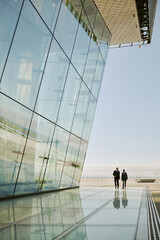Reflective glass facade of modern building casting elegant patterns onto the surrounding urban...