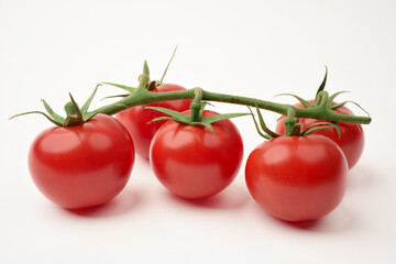Close up photograph of red cherry tomatoes on the vine on white background. 