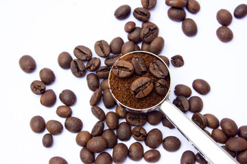 Roasted Robusta coffee beans and coffee grounds in the stainless steel scoop.