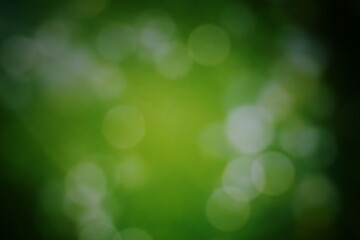 Obraz premium Christmas lights in bokeh. Outside in December. Snow and green bokeh on a black background, bokeh abstract background, modern technological abstract background. green Christmas background, Xmas bokeh 